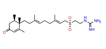 (+)-2-oxo-Agelasidine C